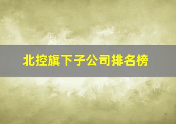 北控旗下子公司排名榜