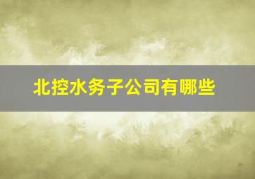 北控水务子公司有哪些