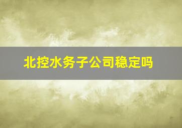 北控水务子公司稳定吗