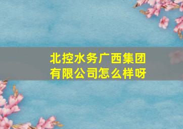 北控水务广西集团有限公司怎么样呀