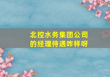 北控水务集团公司的经理待遇咋样呀