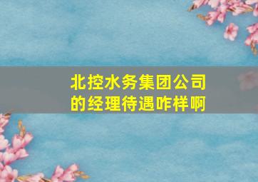 北控水务集团公司的经理待遇咋样啊