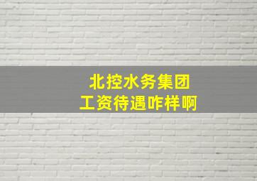 北控水务集团工资待遇咋样啊