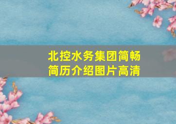 北控水务集团简畅简历介绍图片高清