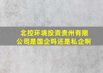 北控环境投资贵州有限公司是国企吗还是私企啊