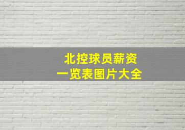 北控球员薪资一览表图片大全