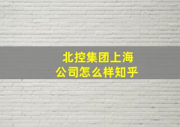 北控集团上海公司怎么样知乎