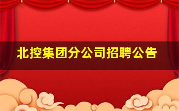 北控集团分公司招聘公告