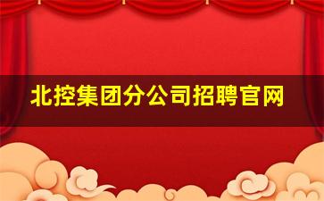 北控集团分公司招聘官网