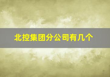 北控集团分公司有几个