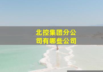 北控集团分公司有哪些公司