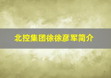 北控集团徐徐彦军简介