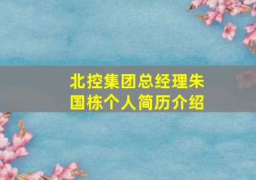 北控集团总经理朱国栋个人简历介绍