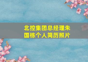 北控集团总经理朱国栋个人简历照片