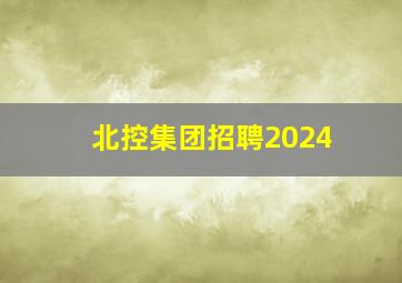 北控集团招聘2024