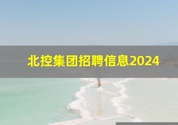 北控集团招聘信息2024