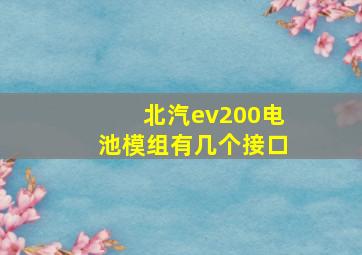 北汽ev200电池模组有几个接口