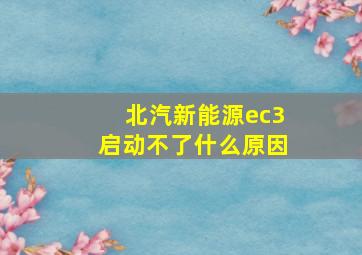 北汽新能源ec3启动不了什么原因