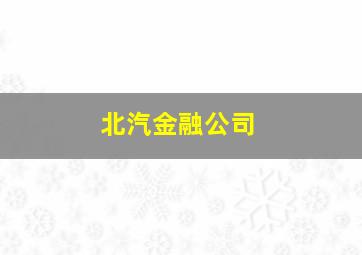 北汽金融公司