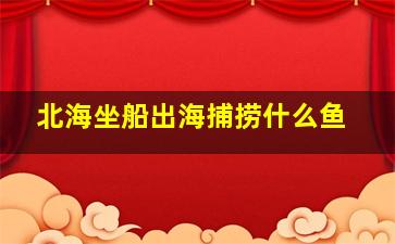 北海坐船出海捕捞什么鱼