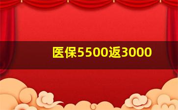 医保5500返3000