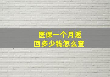 医保一个月返回多少钱怎么查