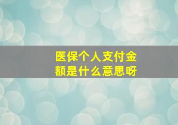 医保个人支付金额是什么意思呀