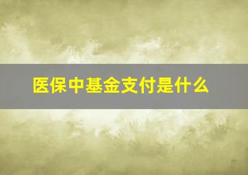 医保中基金支付是什么