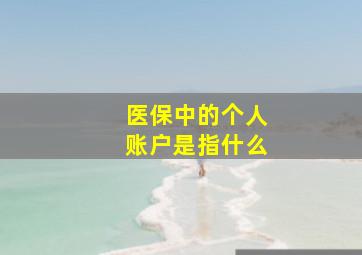 医保中的个人账户是指什么