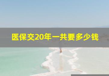 医保交20年一共要多少钱