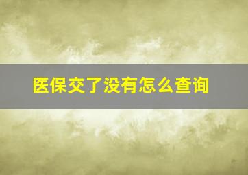 医保交了没有怎么查询