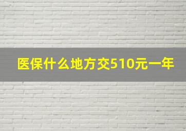 医保什么地方交510元一年