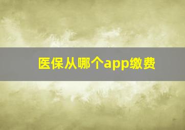 医保从哪个app缴费