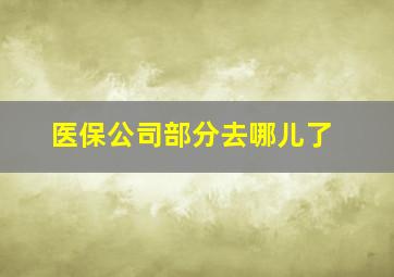 医保公司部分去哪儿了