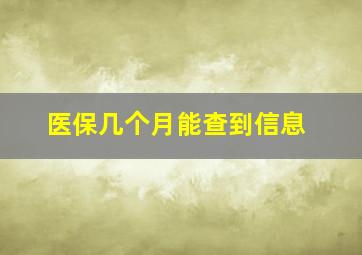 医保几个月能查到信息