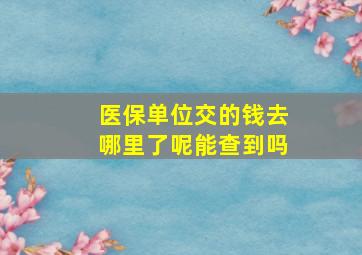 医保单位交的钱去哪里了呢能查到吗