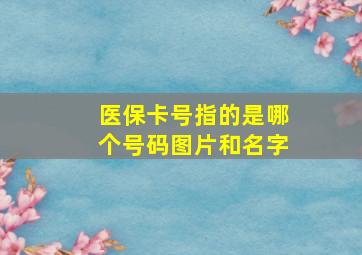 医保卡号指的是哪个号码图片和名字