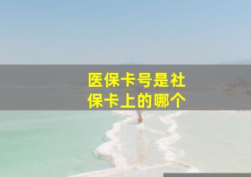 医保卡号是社保卡上的哪个