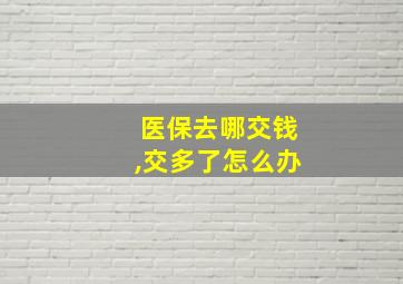 医保去哪交钱,交多了怎么办