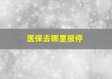 医保去哪里报停