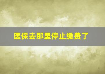 医保去那里停止缴费了