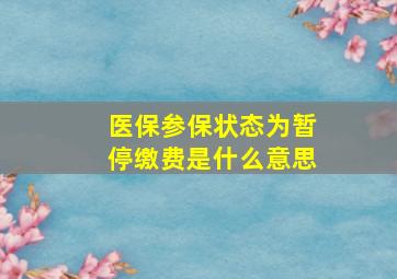 医保参保状态为暂停缴费是什么意思