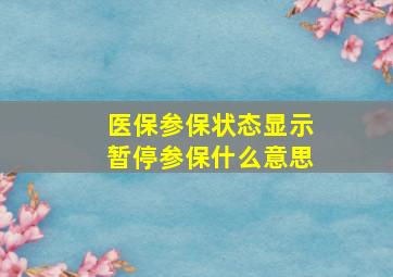 医保参保状态显示暂停参保什么意思