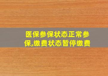 医保参保状态正常参保,缴费状态暂停缴费