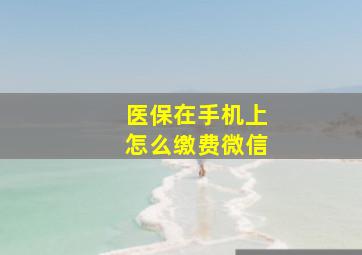 医保在手机上怎么缴费微信