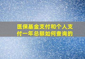 医保基金支付和个人支付一年总额如何查询的