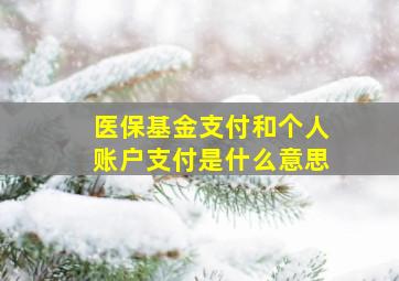 医保基金支付和个人账户支付是什么意思