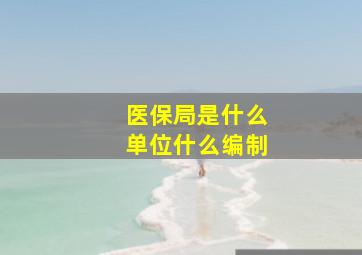 医保局是什么单位什么编制