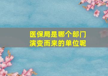 医保局是哪个部门演变而来的单位呢