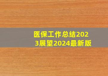 医保工作总结2023展望2024最新版